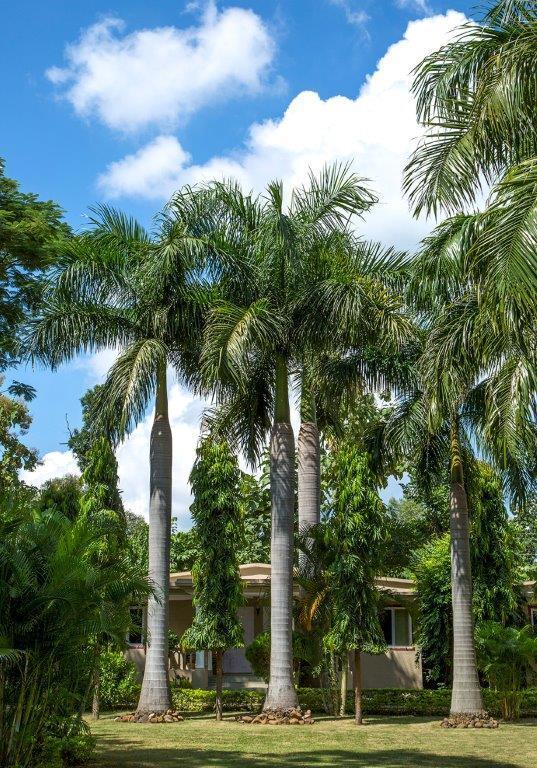 Tiger'S Den Resort Bandhavgarh National Park מראה חיצוני תמונה