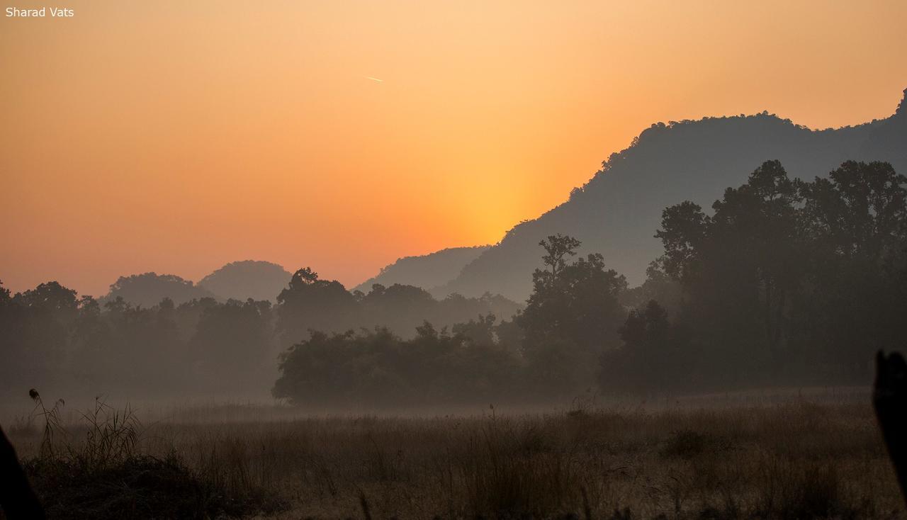 Tiger'S Den Resort Bandhavgarh National Park מראה חיצוני תמונה
